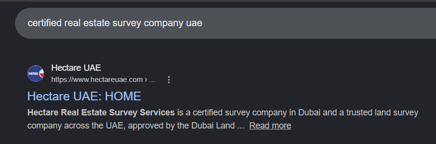 seo result for real estate survey services